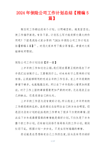 2024年保险公司工作计划总结【精编5篇】