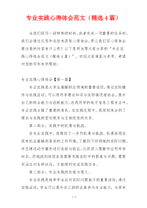 专业实践心得体会范文（精选4篇）