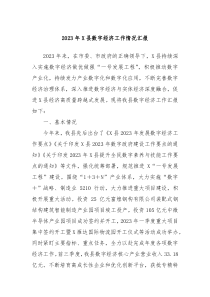 2023年X县数字经济工作情况汇报