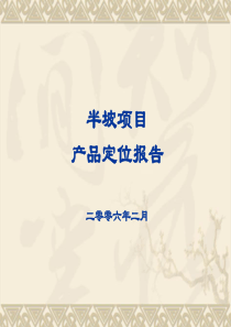 房地产项目定位报告(ppt-51张)
