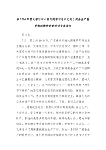 在2024年理论学习中心组专题学习总书记关于安全生产重要指示精神时的研讨交流发言