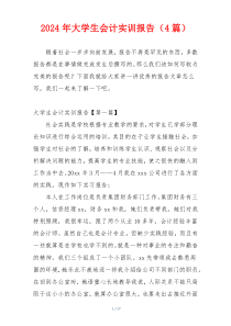 2024年大学生会计实训报告（4篇）