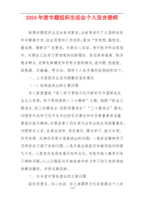 2024年度专题组织生活会个人发言提纲