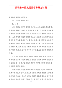 关于未来的发展目标和规划4篇