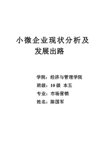 小微企业现状分析及发展出路
