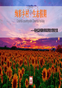 特色小镇旅游活动方案