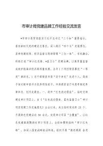 市审计局党建品牌工作经验交流发言