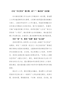 打造书记项目强引擎按下一融双高快进键