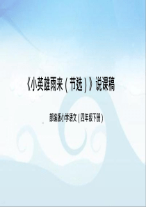 四年级下册《小英雄雨来（节选）》说课课件pptx