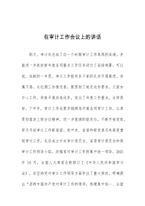 (讲话材料)在审计工作会议上的讲话