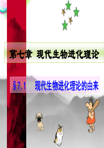 第7章第1节-现代生物进化理论的由来(公开课)