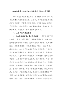 2024年某局上半年党建工作总结及下半年工作计划