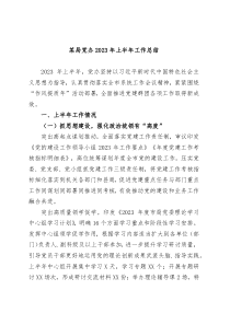 某局党办2024年上半年工作总结