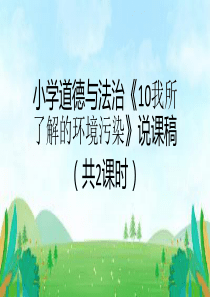 道德与法治《我所了解的环境污染》说课课件