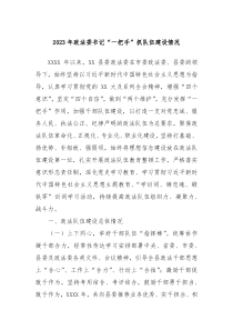 2024年政法委书记一把手抓队伍建设情况