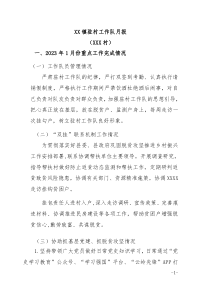 驻村工作队月报