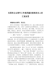 (领导发言)在国有企业青年工作高质量发展推进会上的汇报发言