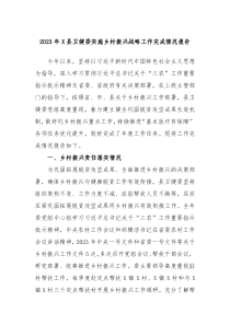 2023年X县卫健委实施乡村振兴战略工作完成情况报告