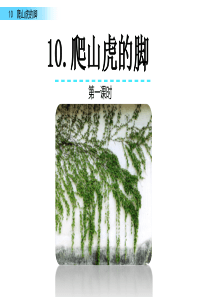10 爬山虎的脚