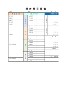 财务科目日报表