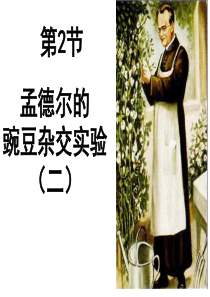 公开课孟德尔的豌豆杂交实验(二)-课件