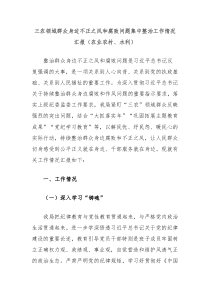 三农领域群众身边不正之风和腐败问题集中整治工作情况汇报农业农村水利