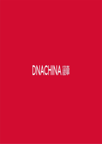 大拿中国DNACHINA-长房集团2020年品牌整合推广全案