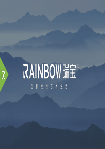 瑞宝品牌介绍