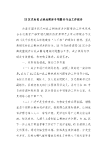 XX区农村乱占耕地建房专项整治行动工作报告