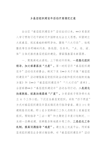 乡基层组织建设年活动开展情况汇报