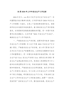 XX局2024年上半年安全生产工作总结