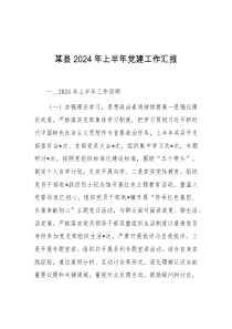 某县2024年上半年党建工作汇报