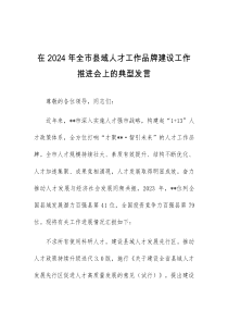 在2024年全市县域人才工作品牌建设工作推进会上的典型发言