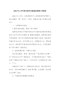 2024年上半年党支部书记抓基层党建工作报告