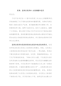 党课坚持自我革命永葆清醒和坚定