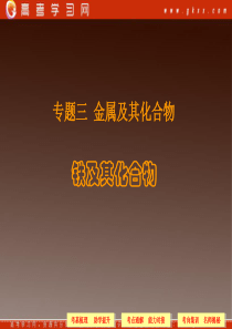 【2014届高三化学一轮复习课件】专题三-金属及其化合物(铁及其化合物)(73张PPT)