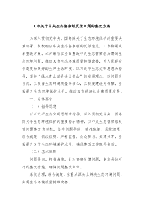 X市关于中央生态督察组反馈问题的整改方案