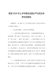 某局2024年上半年落实全面从严治党主体责任的报告