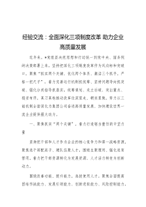 经验交流全面深化三项制度改革助力企业高质量发展