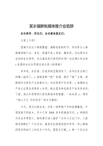 某乡镇鲜桃媒体推介会致辞