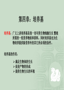 培养基