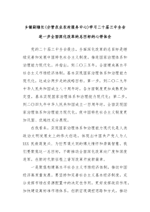 乡镇副镇长分管农业农村服务中心学习二十届三中全会进一步全面深化改革的总目标的心得体会