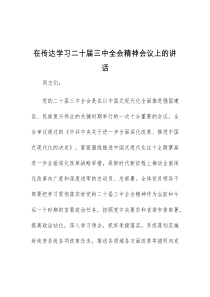 在传达学习二十届三中全会精神会议上的讲话