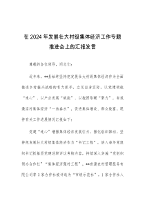 在2024年发展壮大村级集体经济工作专题推进会上的汇报发言
