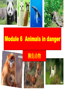 2013新版外研版英语八年级上册M6-U1