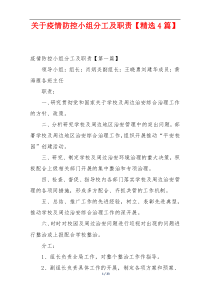 关于疫情防控小组分工及职责【精选4篇】