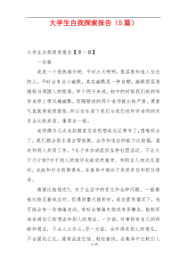 大学生自我探索报告（5篇）