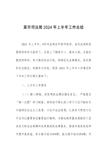 某市司法局2024年上半年工作总结
