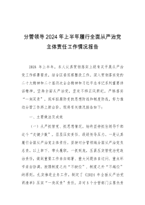 分管领导2024年上半年履行全面从严治党主体责任工作情况报告