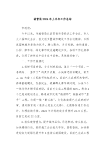 城管局2024年上半年工作总结